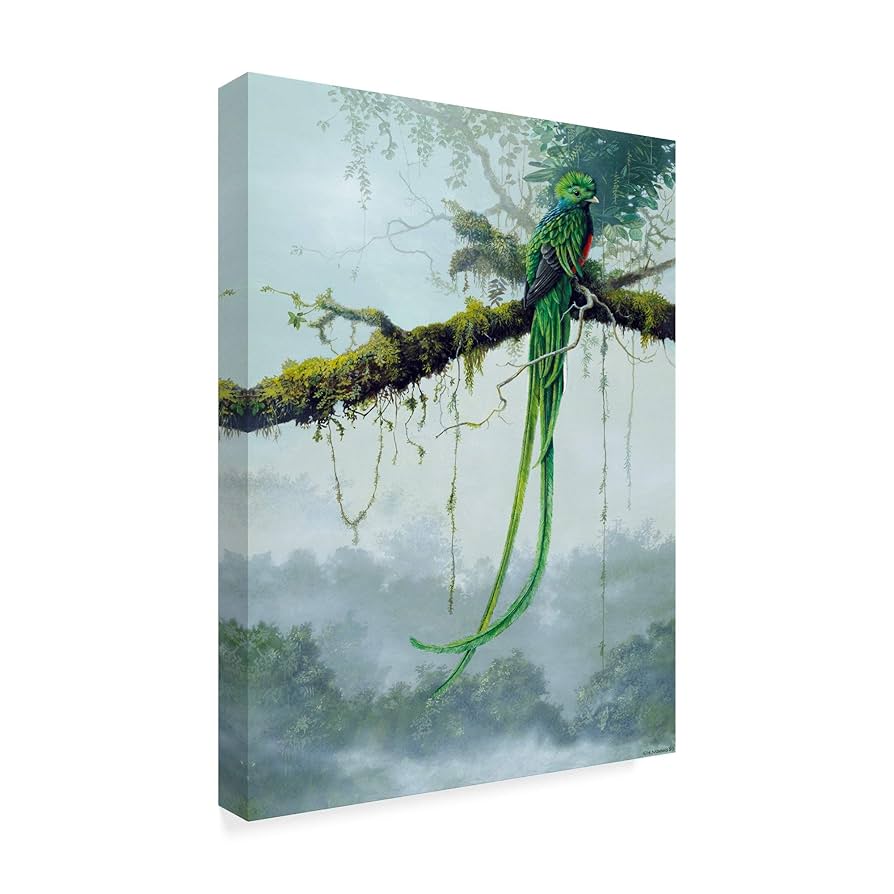 Amazon.co.jp: Trademark Fine Art ALI35644-C2432GG 革命